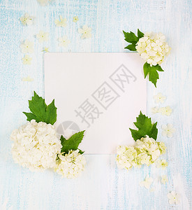 婚礼或家庭相册的剪贴页面带鲜白黑花和浅木背景绿叶的框架顶视平躺俯图片