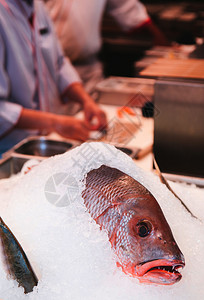 冰上鲜红的鱼背景图片