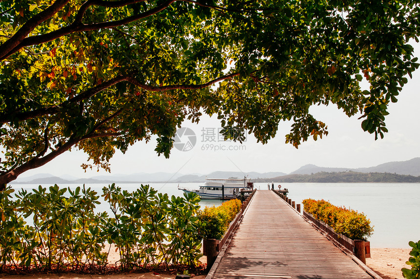 夏季旅游假期和日概念开木码头和在泰国普吉的大树图片