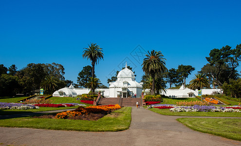 圣弗朗西斯科的白玻璃屋夏季加州澳洲的花朵节日公园高清图片素材