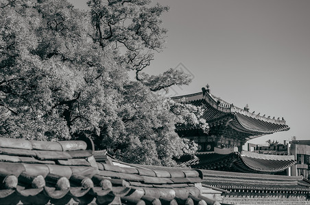 古老的天顶和长城也称为东宫在汉城的五大宫殿之一高清图片