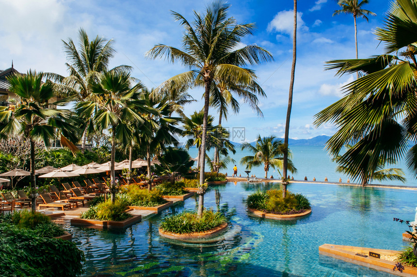 泰国萨穆伊岛热带度假胜地游泳池图片