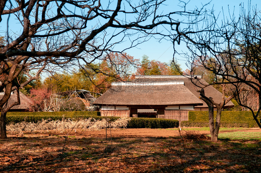 201年月日ChibaJpn古城村BosnMura露天博物馆的旧式的edo茅草露天博物馆的屋顶棚图片