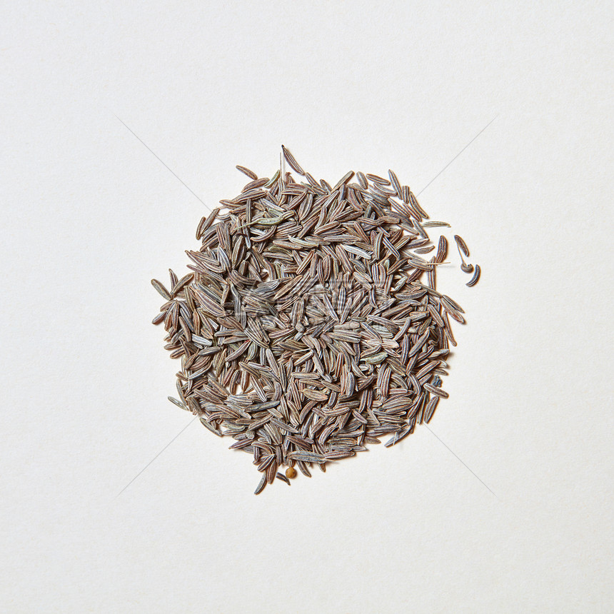 烹饪自制健康饮食的香料健康饮食背景平地白色背景隔离的天然草药幼苗种子的圆形图案图片