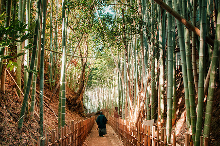 小竹子的素材身着武士服装的人在竹林中行走背景