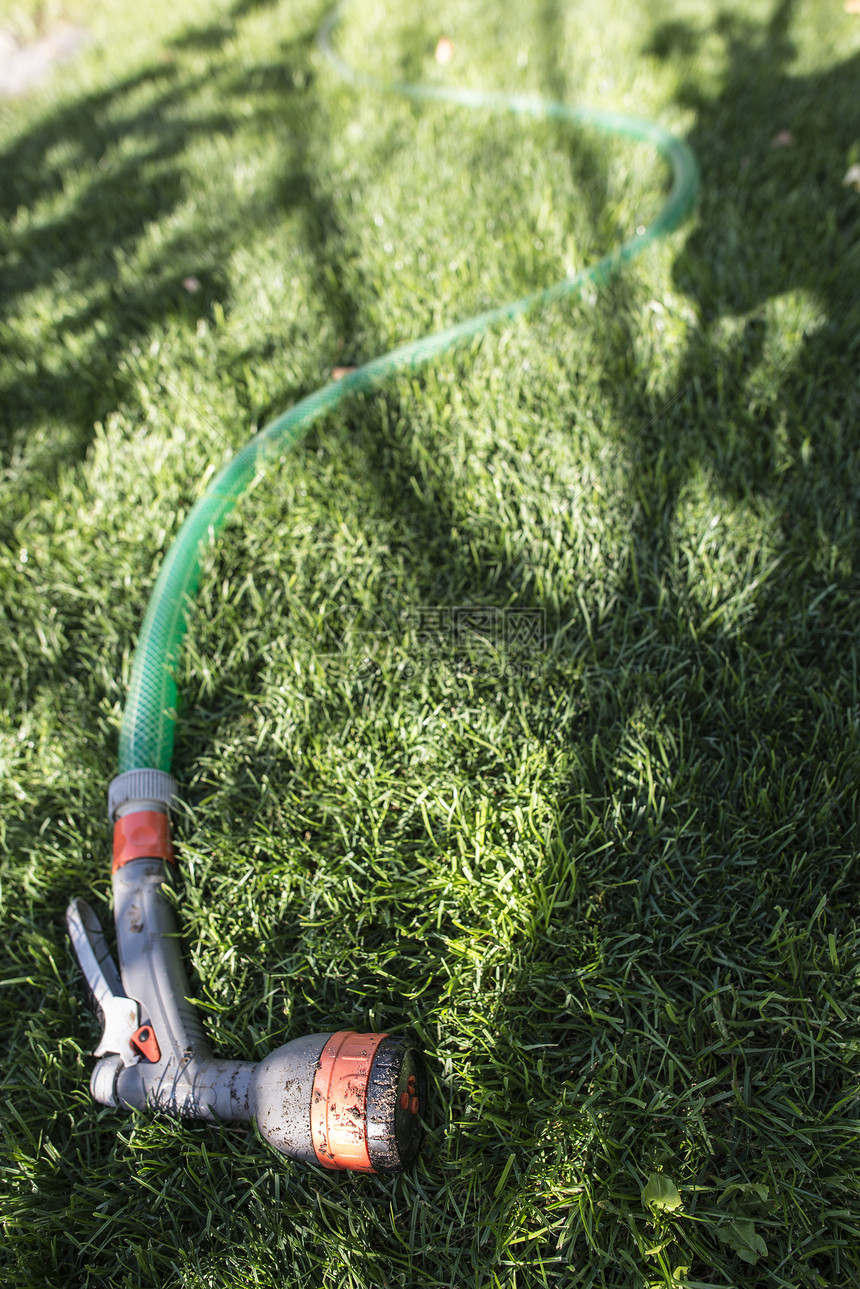 绿色草原上的花园水管和喷洒器图片