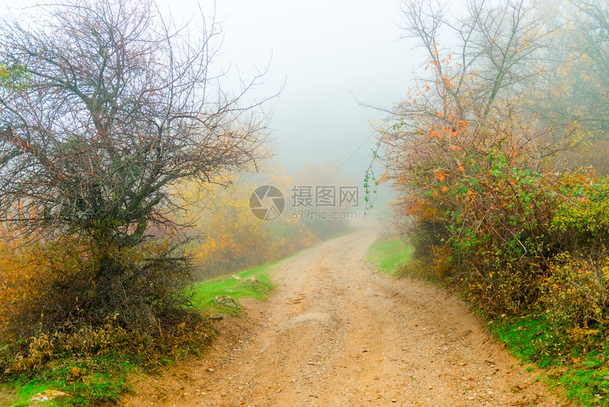 清晨浓雾的景像图片