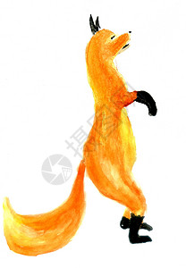 卡通橙色狐狸手画动物水彩图片
