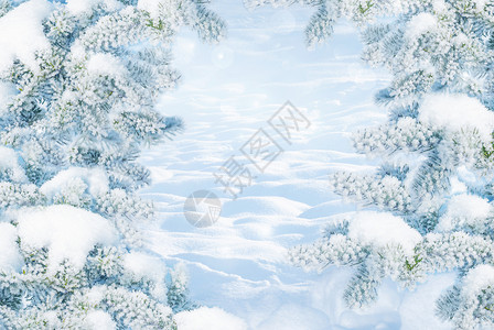 寒冷阳光明日的冬月风景有白雪贴近和地漂的树木覆盖着青自然户外森林中下雪的背景有复制空间以蓝色刻着背景