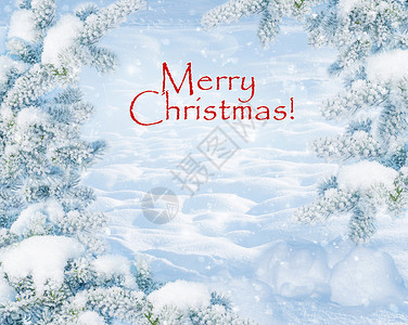 冬季圣诞节风景在霜冻晴天与冷杉树覆盖着白雪特写和雪堆森林里的雪景户外的大自然上面写着圣诞快乐蓝色调背景图片