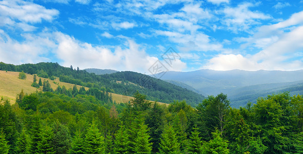 山坡隐形树和天空中的云层美景和华丽的象位置是喀尔巴阡乌黑欧洲探索世界和美貌宽广的照片背景图片