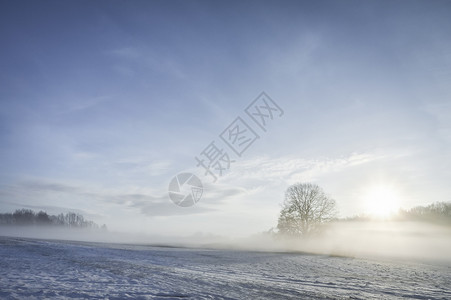 冬晨风景雪地树木一层雾太阳升起在德国背景图片