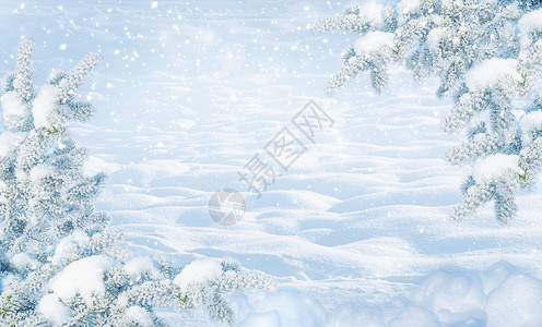 寒冷的阳光明日寒冷的冬月风景边有白雪贴近和滑的白树枝在自然户外的森林中有雪背景复制空间以蓝色刻着背景