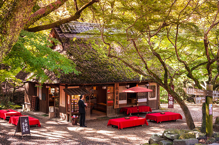 201年月3日雅潘Mizuya传统日本茶馆靠近纳拉卡苏加诺公园背景图片
