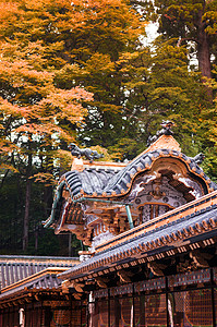 托米斯勒尼科王尼科托肖古神庙奇吉日本背景