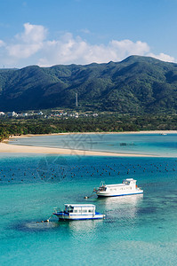 金海湾红树林一片美丽的热带海白沙滩水晶清澈的绿水在卡比拉湾伊西加基岛okinawjpn背景