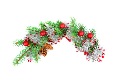 圣诞装饰浴缸白色背景的fir树枝图片