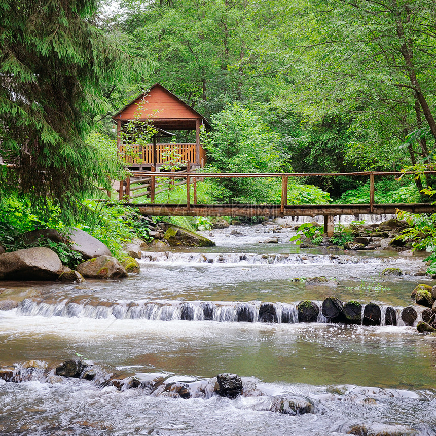 山河茂密的植被和娱乐区有一座桥和瞪羚位置是喀尔巴阡乌黑欧洲生态保护概念图片