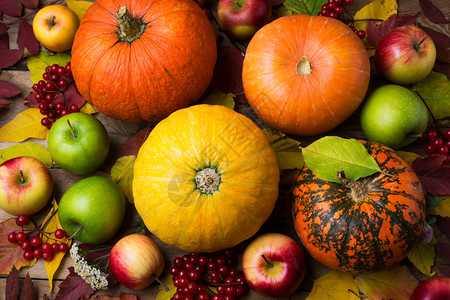 含橙色和黄南瓜秋叶绿苹果和草莓的感恩背景蔬菜高清图片素材