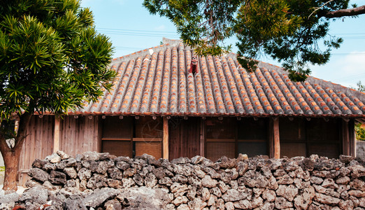 位于日本霍基那瓦州诺米的古老ryuk村的当地木粘土屋顶房图片