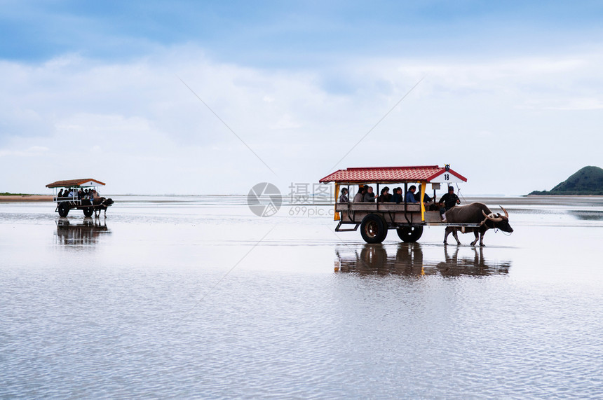 2013年月日koginawjpn水牛车在iromteisalnd海滩巡航图片