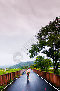 吉山泰东万等地雨后背景图片