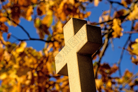 枫树下教堂的十字架图片