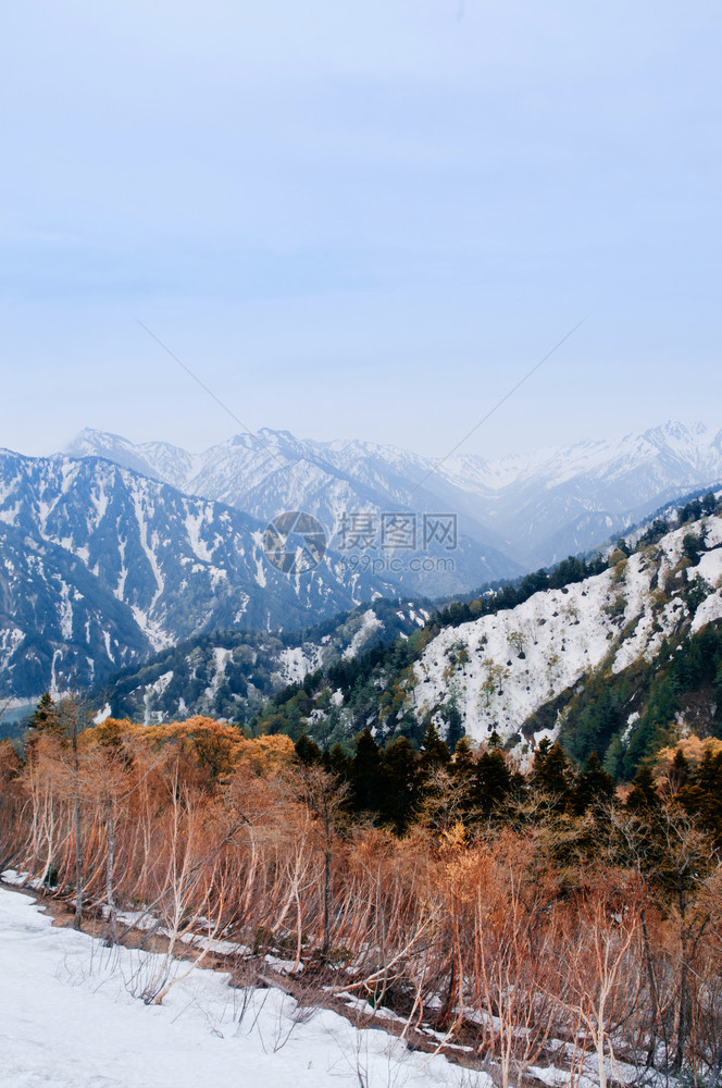 Tateymkurobe高山上的雪和树图片