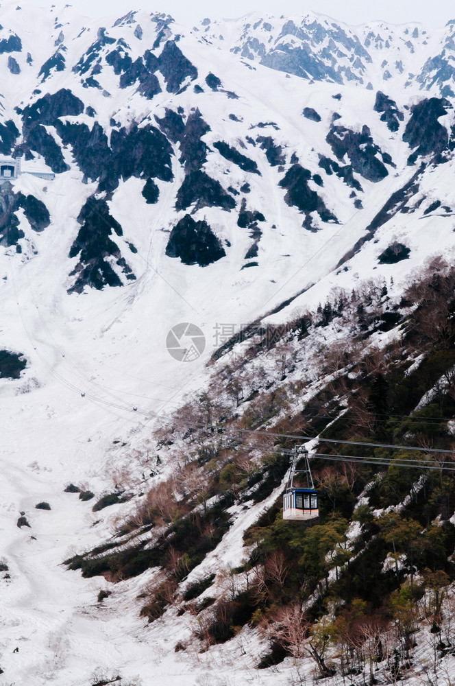 阿尔卑斯山上的雪和树图片