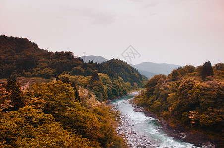 山日本晚上谷自然景象背景图片