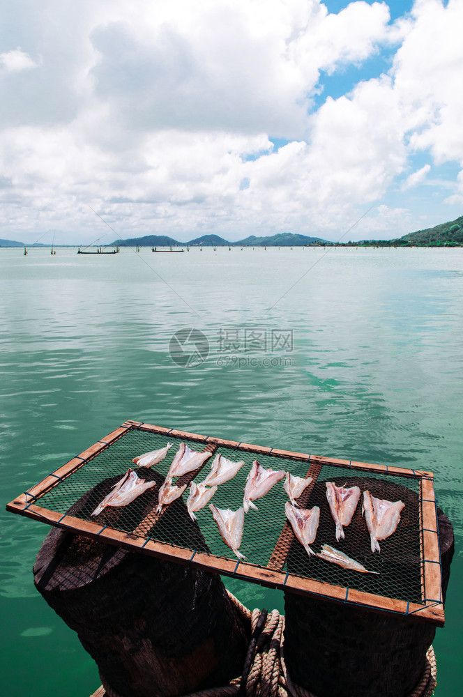 当地晒太阳的鱼在泰国Songkhla海边炎热的夏日阳光下在网托盘上晒鱼图片