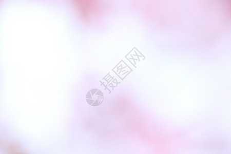 清草花的粉红背景图片