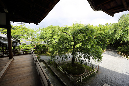 Japn寺庙木柴与日本花园京都寺庙一道行走高清图片