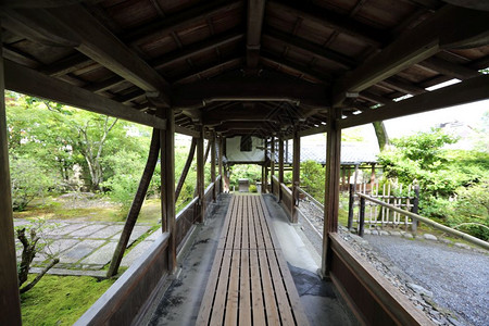Japn寺庙木柴与日本花园京都寺庙一道行走高清图片