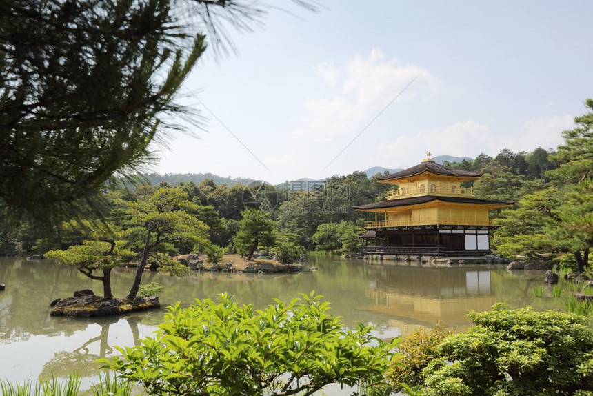在日本京都金色的殿堂图片