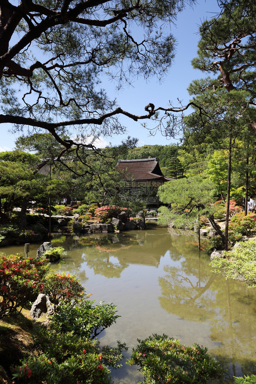 日本京都的ginkauji寺庙图片