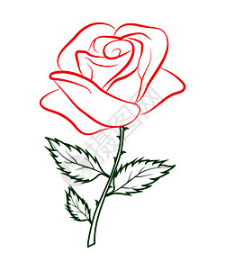 尾焰绿色尾迹上红玫瑰的彩色简单大纲绘图插画