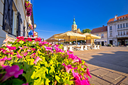 花朵和建筑景观北部croati图片