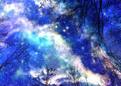 无星的夜璀璨星芒下的森林景色背景