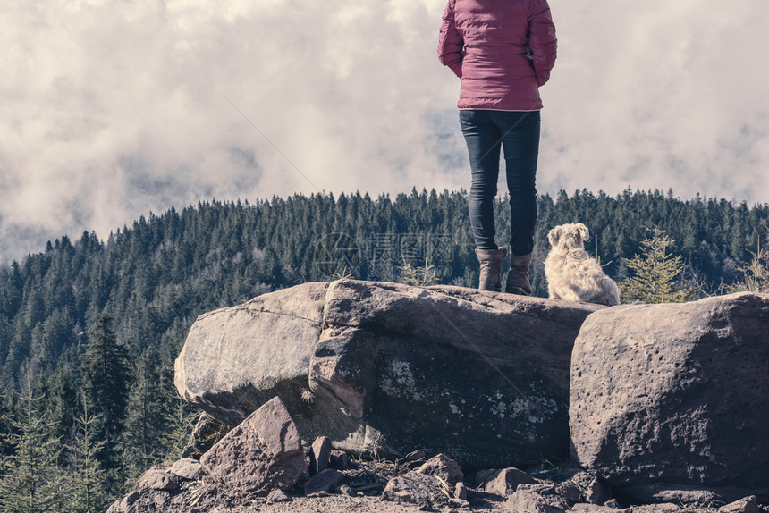 穿着牛仔裤和粉红色夹克的女孩与她狗在身边黑色森林公园的一块岩石上享受着森林山的风景图片