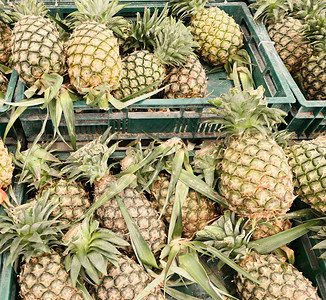 市场中成熟的新鲜菠萝图片