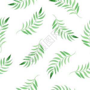 热带树叶元素图片