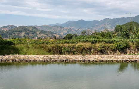 在Xiamen附近的usco遗产地在石屋周围种植茶叶树在Wanuesco世界遗产地Tul外的茶叶树丛背景图片