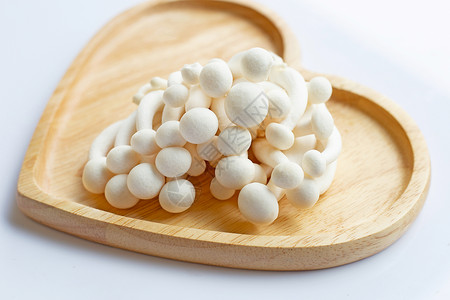 山毛榉木白蘑菇清木草白底的可食蘑菇背景