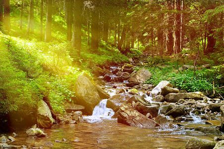 流经绿林的山河喀尔巴阡脉乌黑欧洲背景图片