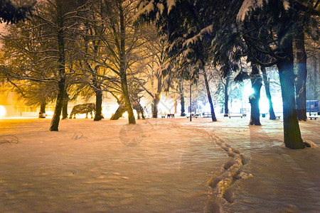 夜晚冬季公园积雪中的脚印图片