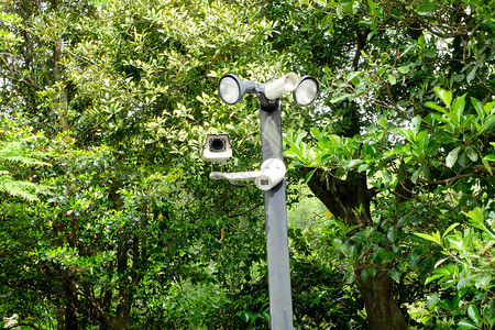 停车场的闭路摄像头树上的监控摄像头绿色自然背景的ctv图片