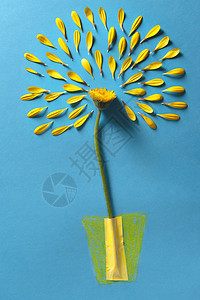 手绘蓝色花瓣黄色花朵蓝纸背景上的花瓣和手画瓶背景