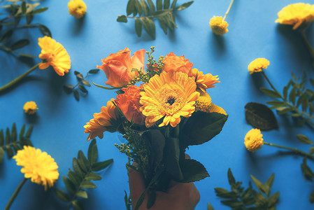 黄色菊花和橙玫瑰的朵手握在蓝色的桌子上面风景图片