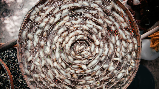 竹巢托盘中近距离拍摄的丝虫作为制塔伊丝织物的原材料高清图片